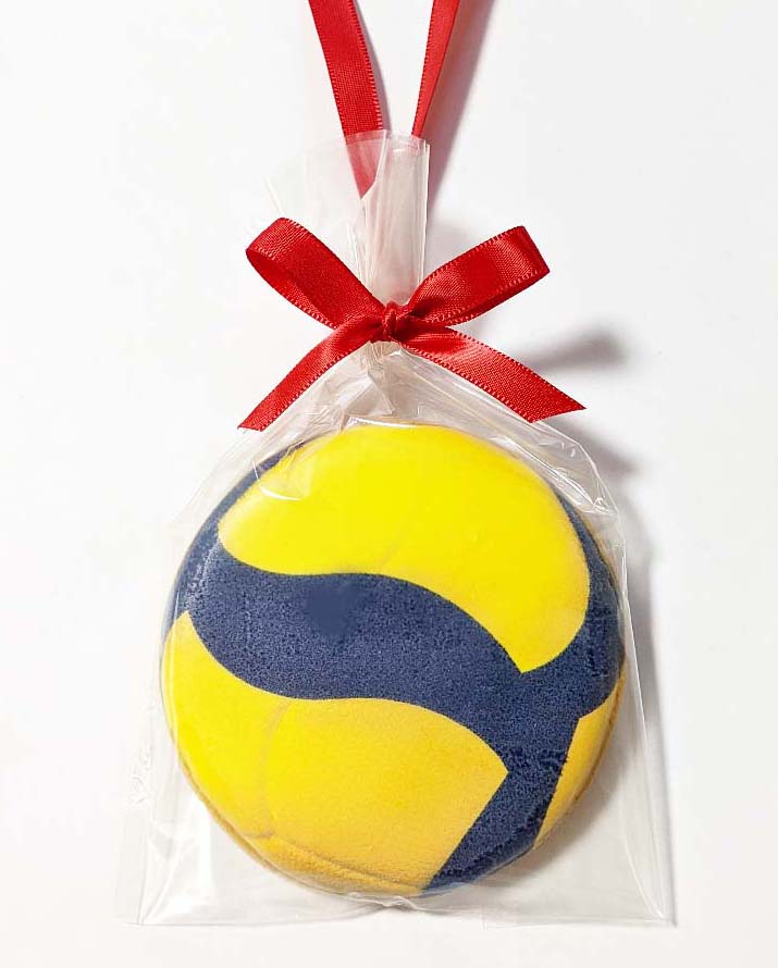 volleyball-taikai-sotsudan-medal-cookie.jpg