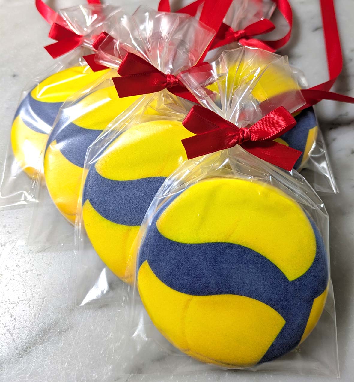 volleyball-taikai-sotsudan-medal-cookie1.jpg