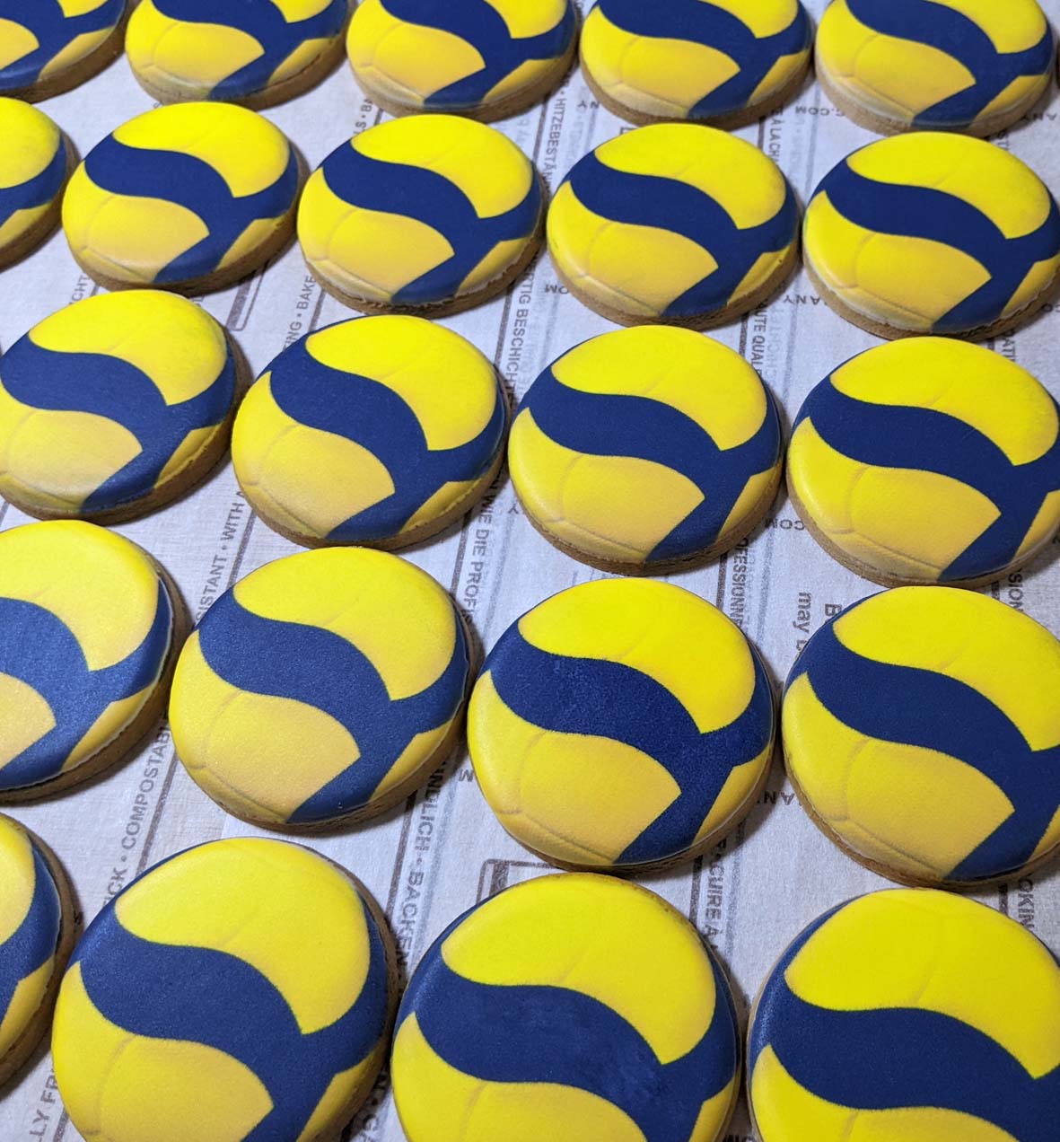 volleyball-taikai-sotsudan-medal-cookie5.jpg